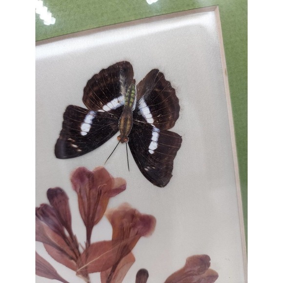 Vintage Pressed Flower Pictures By Elsie Kraft for Belart/Nature Incentives USA - Picture 9 of 11